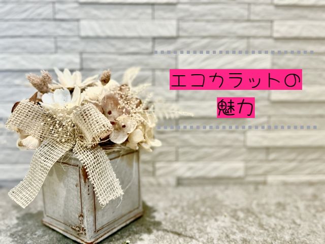 エコカラットの魅力 画像