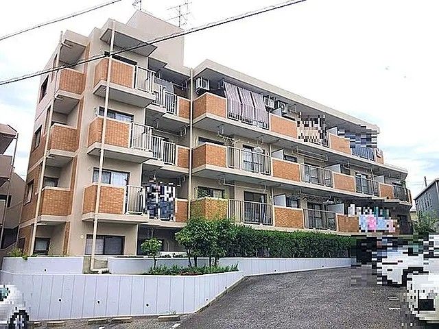 グレイス植田 アイキャッチ画像